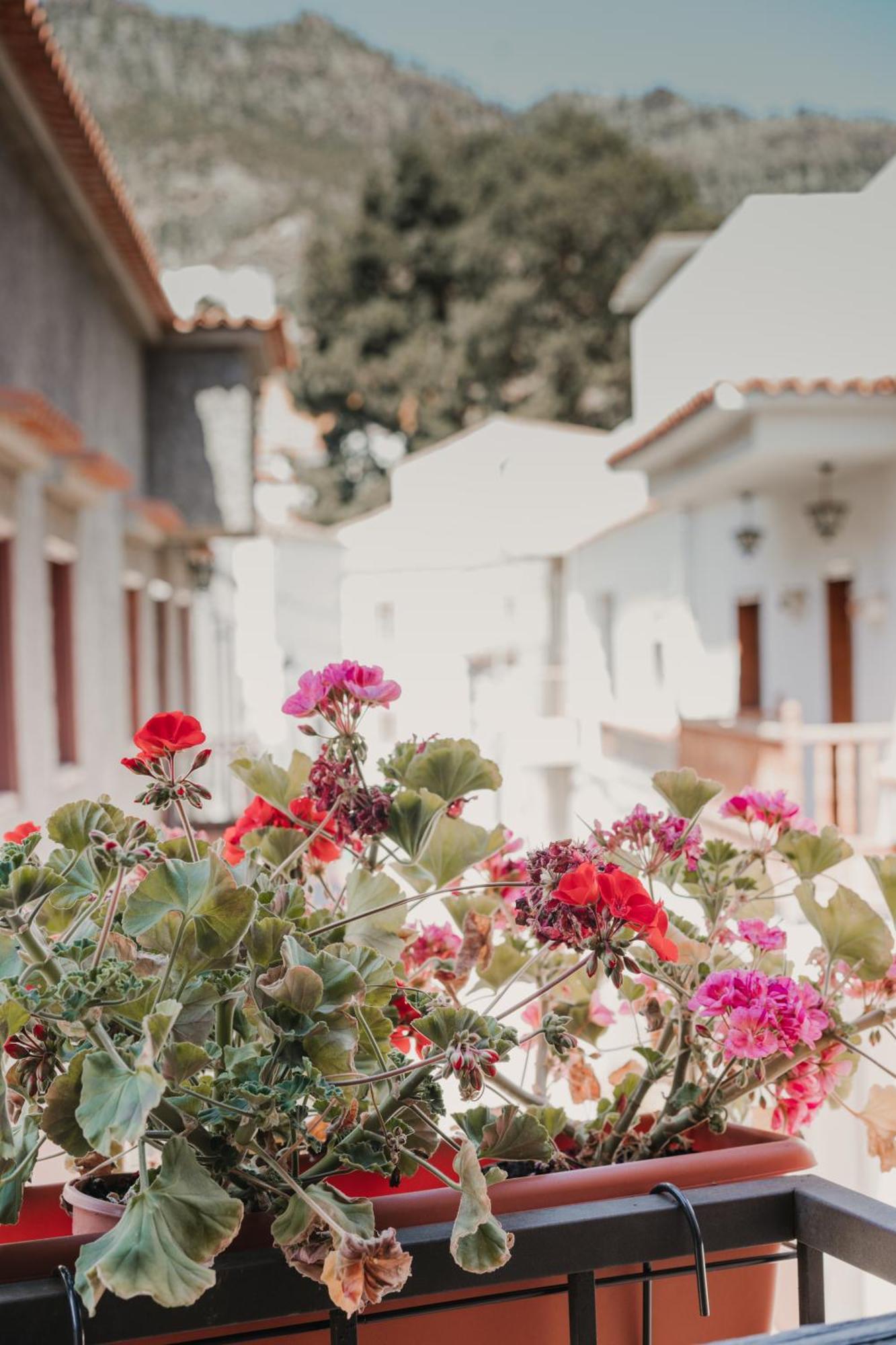 Rural Santiago De Tunte * San Bartolome de Tirajana (Gran Canaria)